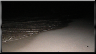宮古島の夜の浜辺